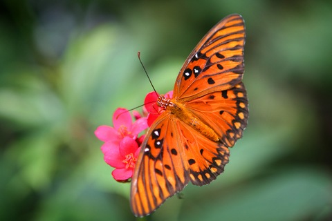 [IMG_0679ps2.jpg]
