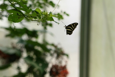 [IMG_07092.jpg]