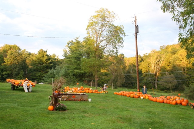 [IMG_23353.jpg]