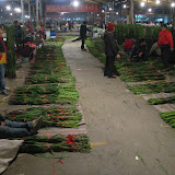 Gladiolen op de flower market