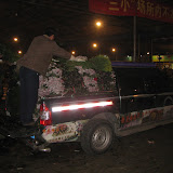 Transport
