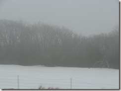 sd jan 2010 036