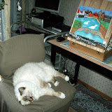 Paintings1