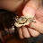 20060604 Monterey 17Miles - 028
