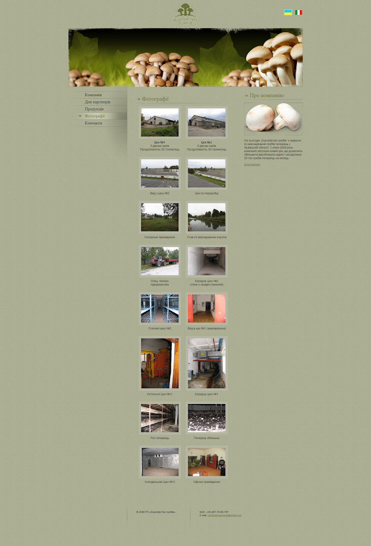Фотографії - Королівство грибів_1298377419585.png