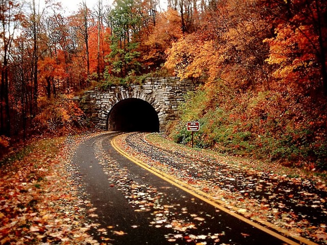 [fall[3].jpg]