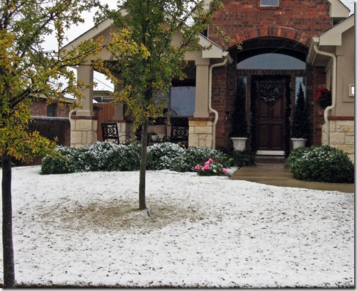 snow dec 2 09