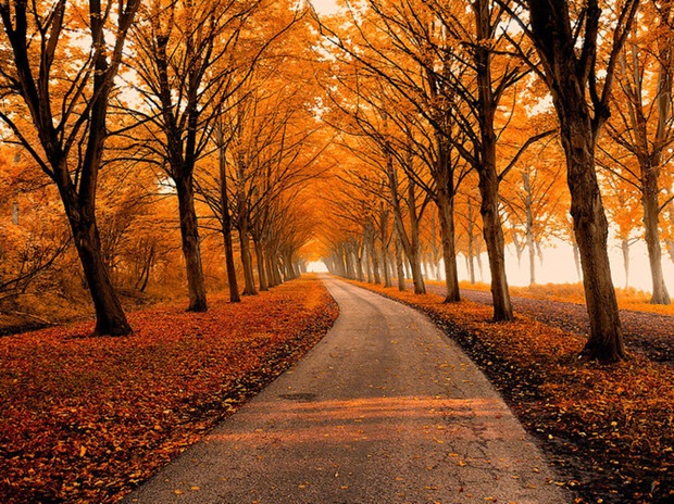 Autumn-photos Autumn-photos
