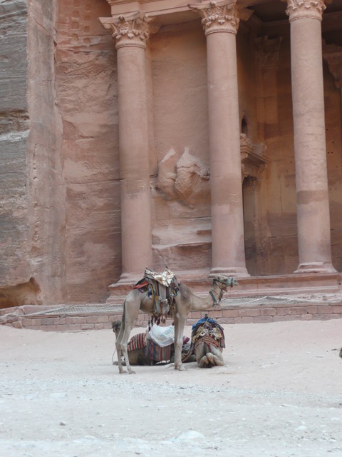 [P1020755[5].jpg]