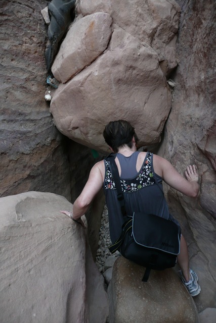 [P1020845[5].jpg]