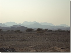 DSC00676