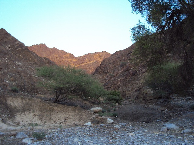 [DSC00721[2].jpg]
