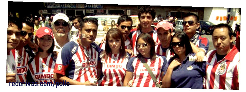 http://lh5.ggpht.com/_7rInutftBVA/S4xyV5ClEuI/AAAAAAAADvE/XrzmymCnr8k/s800/m2.jpg