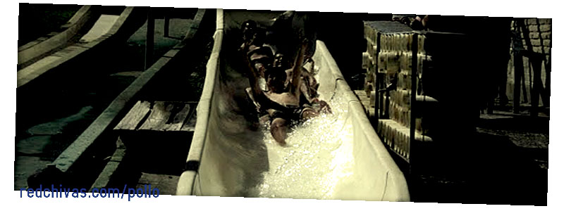 http://lh5.ggpht.com/_7rInutftBVA/S4xzDd-72SI/AAAAAAAADv4/_th6EAXy-vM/s800/m13.jpg