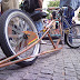 SNC00942.jpg
