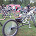 SNC00979.jpg