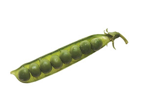 Diapositiva10.JPG