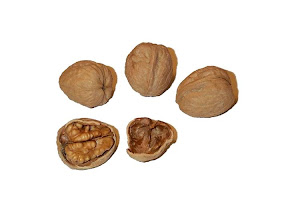 Diapositiva31.JPG