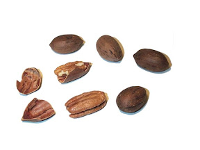 Diapositiva32.JPG