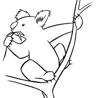 KOALA COLORING PAGES