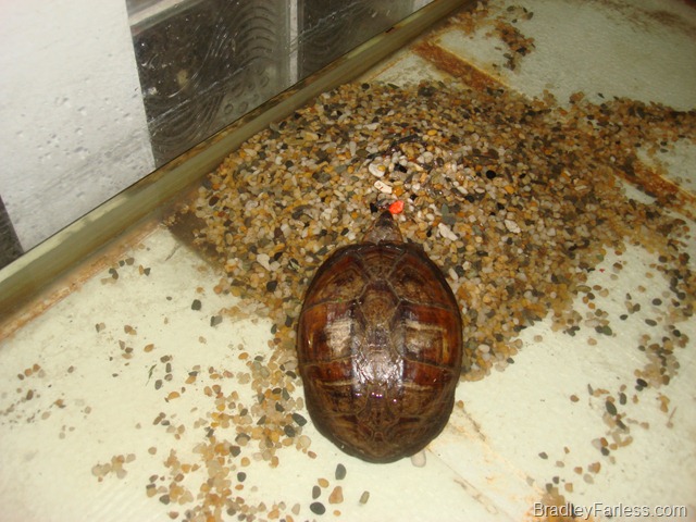 [DSC050045.jpg]