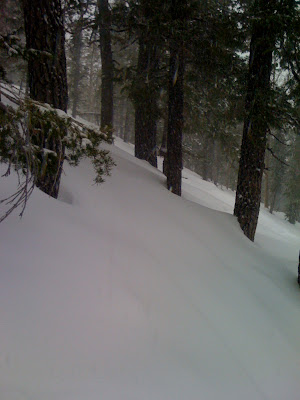 IMG_0165.JPG