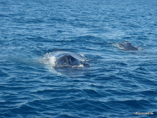 Mama mit Baby