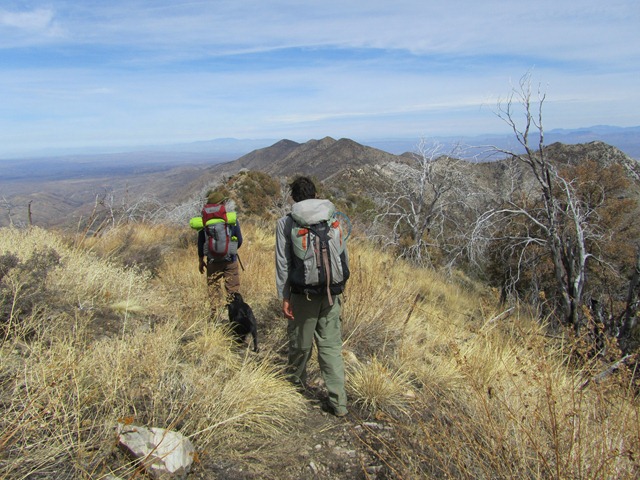 [IMG_65363.jpg]