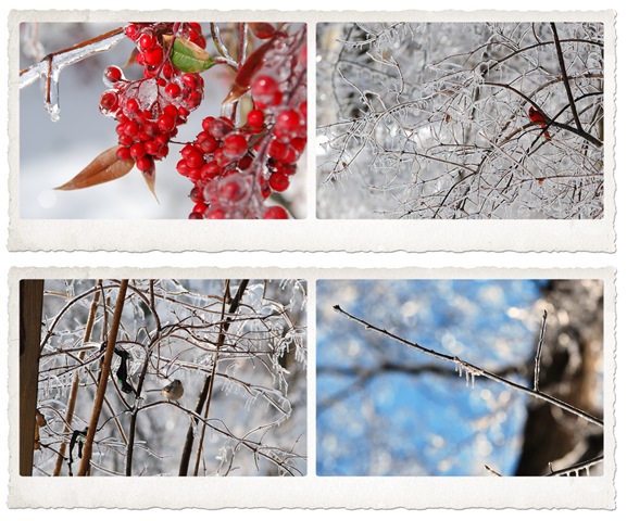 [snow 6[3].jpg]