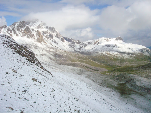 DSC06771.JPG