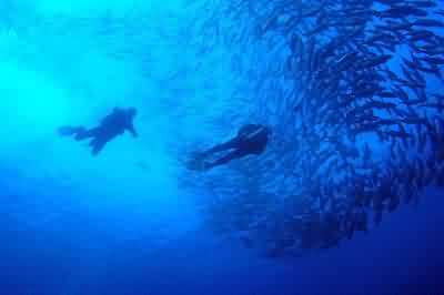 scuba diving