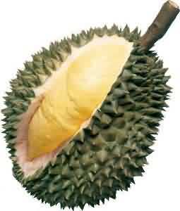 Surabi Duren, Just Cant Get Enough of It