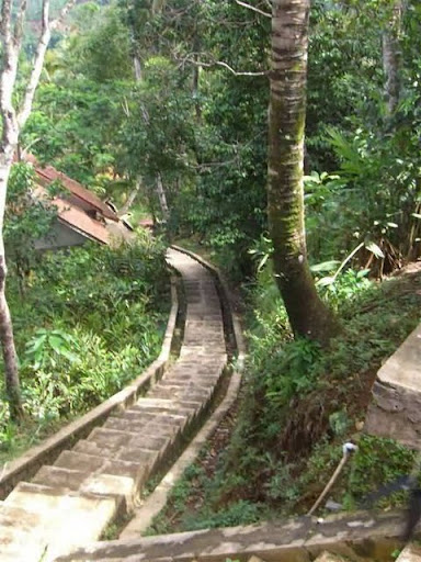 kampung naga ladders