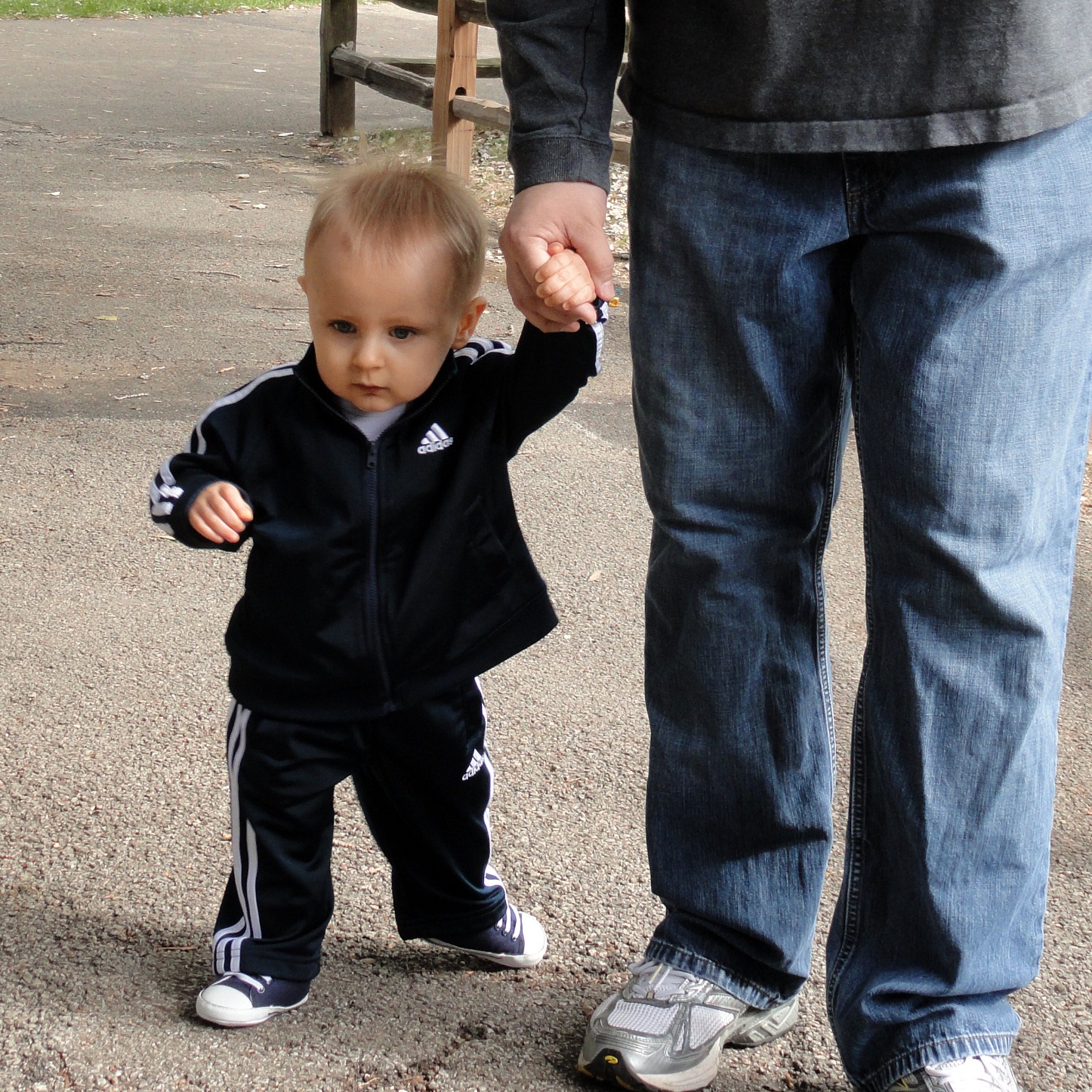 [DSC02312.2[1].jpg]