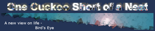 [CuckooTitle[15].png]