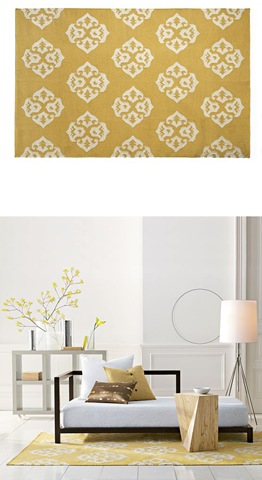 [AndalusiaRug.WestElm[9].jpg]