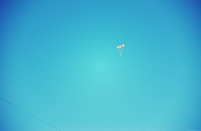 [DSC_0049.JPG_effected[3].png]
