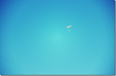 DSC_0049.JPG_effected