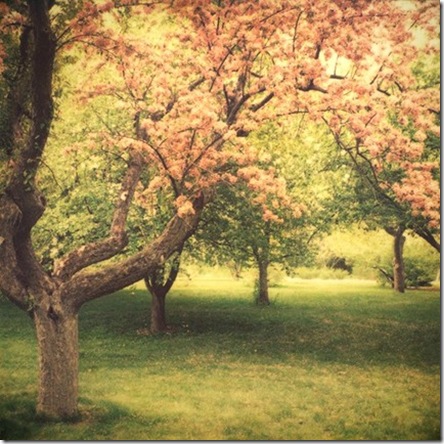 TheScentofSpring.irenesuchocki.etsy