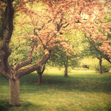 [TheScentofSpring.irenesuchocki.etsy[3].jpg]