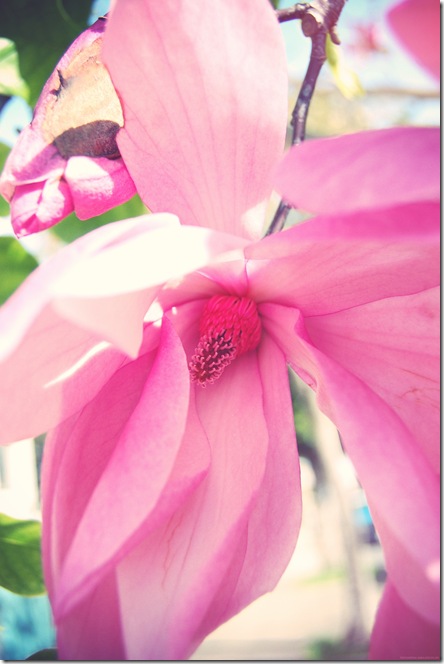 DSC_0030.JPG_effected