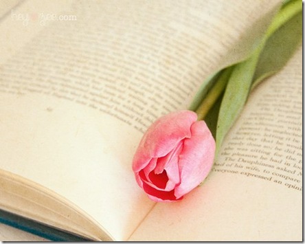 tulipbook.heyzee.flickr.