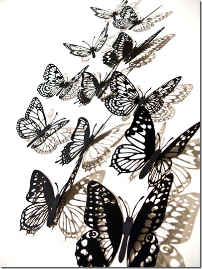 PaperButterflies12.xylocopa.com