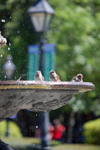 [DSC_0575[3].jpg]