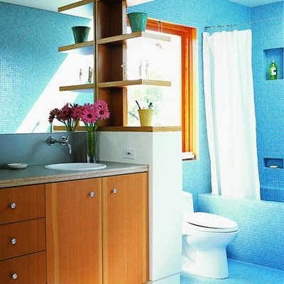 [bathroom-master-blueorg.sunset.decorology[3].jpg]
