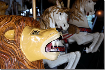 DSC_0701 DSC_0701