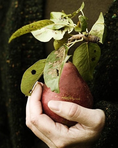 [Lerkenfeldt Photography_ Food & living-1[3].jpg]