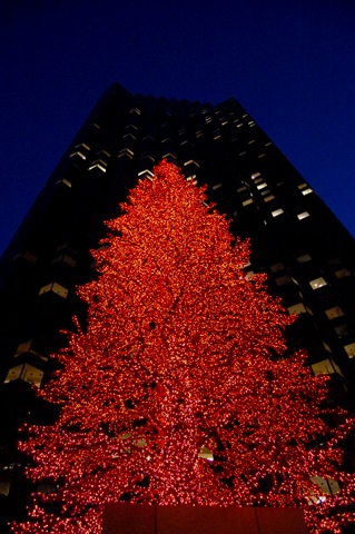 [DSC_0099[5].jpg]