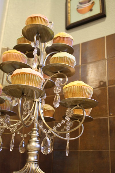 Cupcakes 067