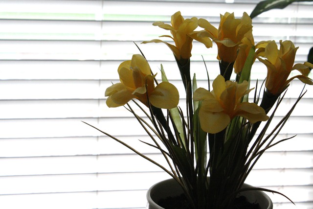 Easter 2011 061